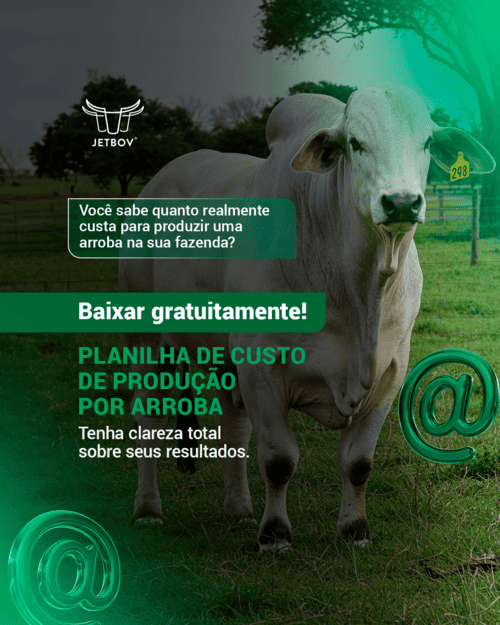 webinar o papel da mnulher na revolução tecnologica do campo