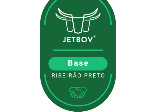 RIBEIRÃO PRETO SP