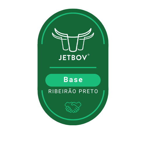 RIBEIRÃO PRETO SP