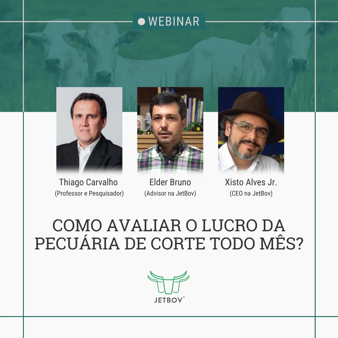 Campanha Webinar Lucro na Pecuária de Corte (3)