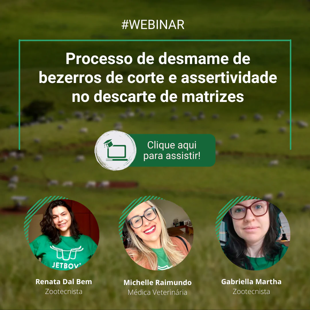 Campanha Webinar - O que você sabe sobre desmama de bezerros de corte v3