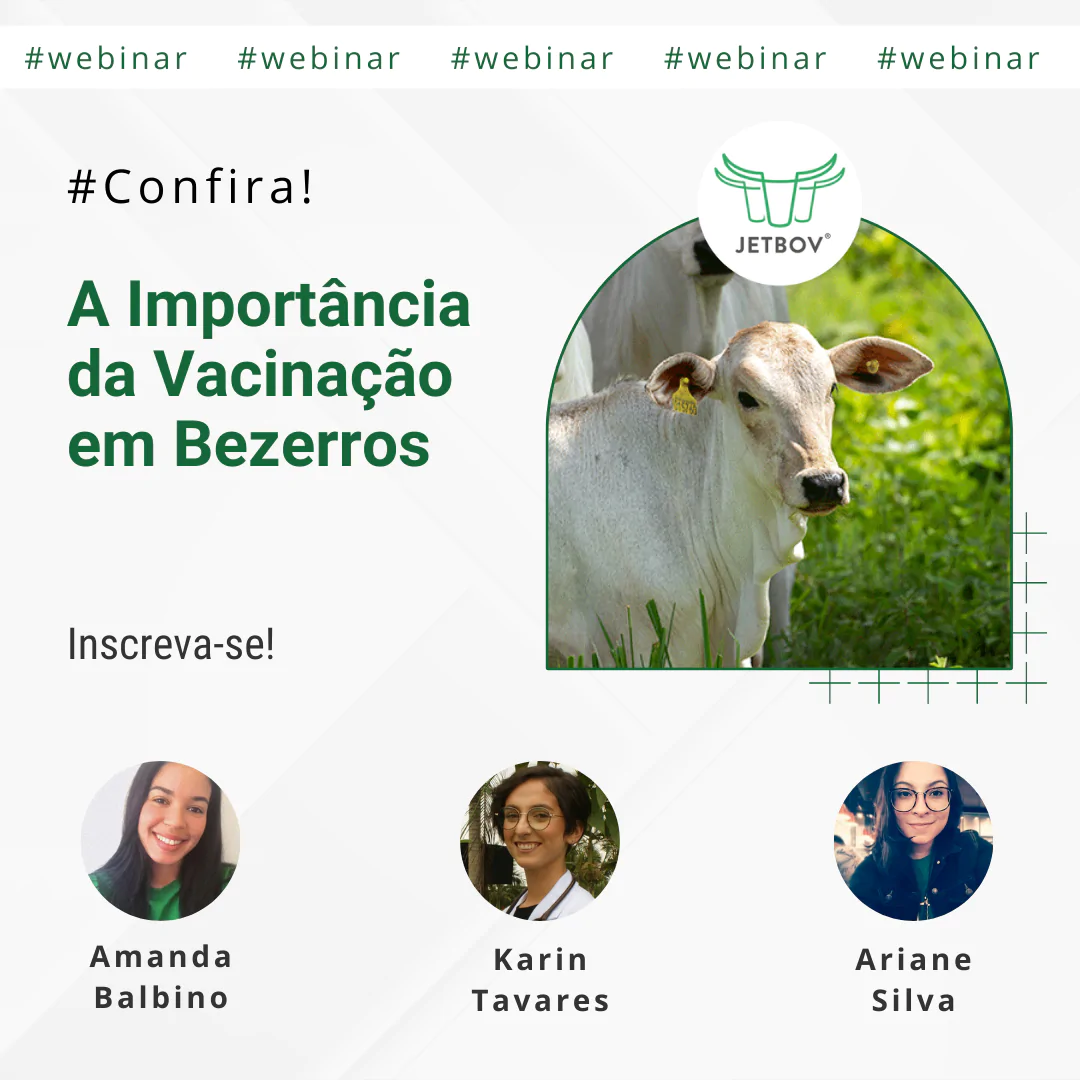 Webinar Junho - A importância da vacinação em bezerros