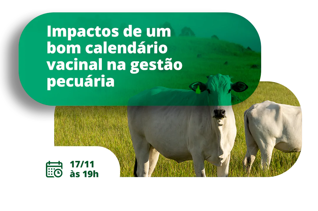 lpwebinar_introducao