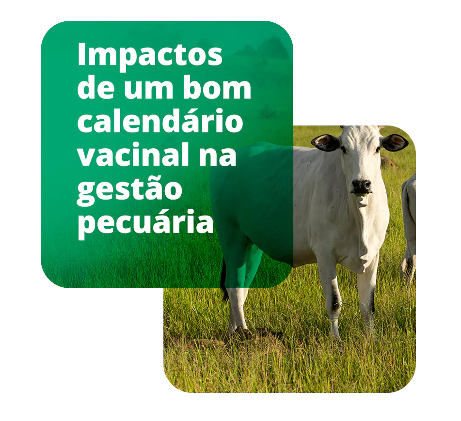 lpwebinar_introducao_mobile