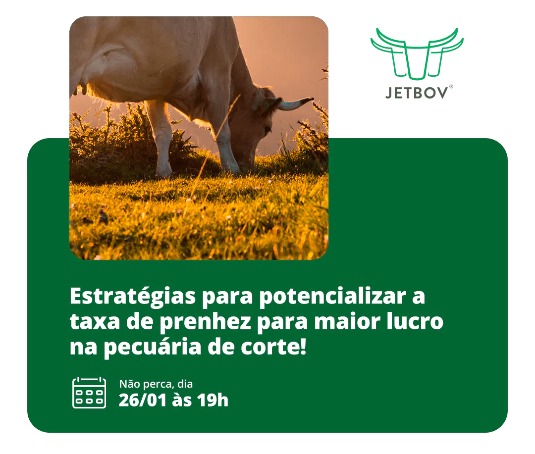 LPWebinarJan_IntroducaoDesktop01