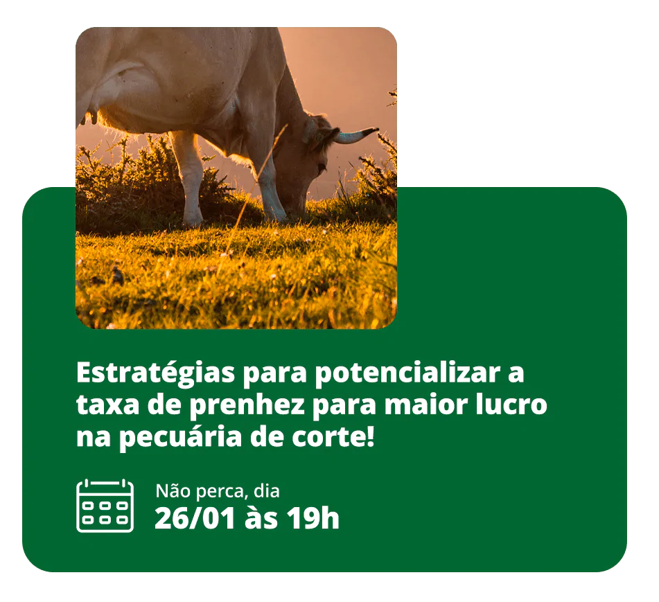 LPWebinarJan_IntroducaoMobile01