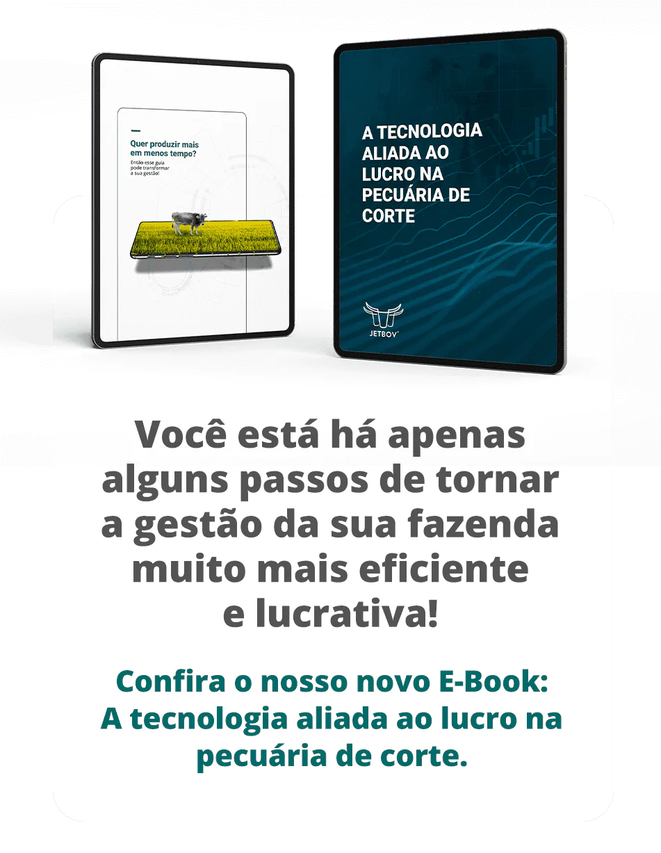 LPEbookGestao_MobileTitulo01
