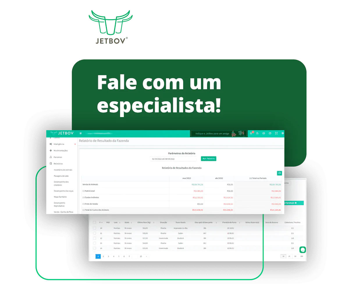 LP-Ebook-Trilha-Dados-01