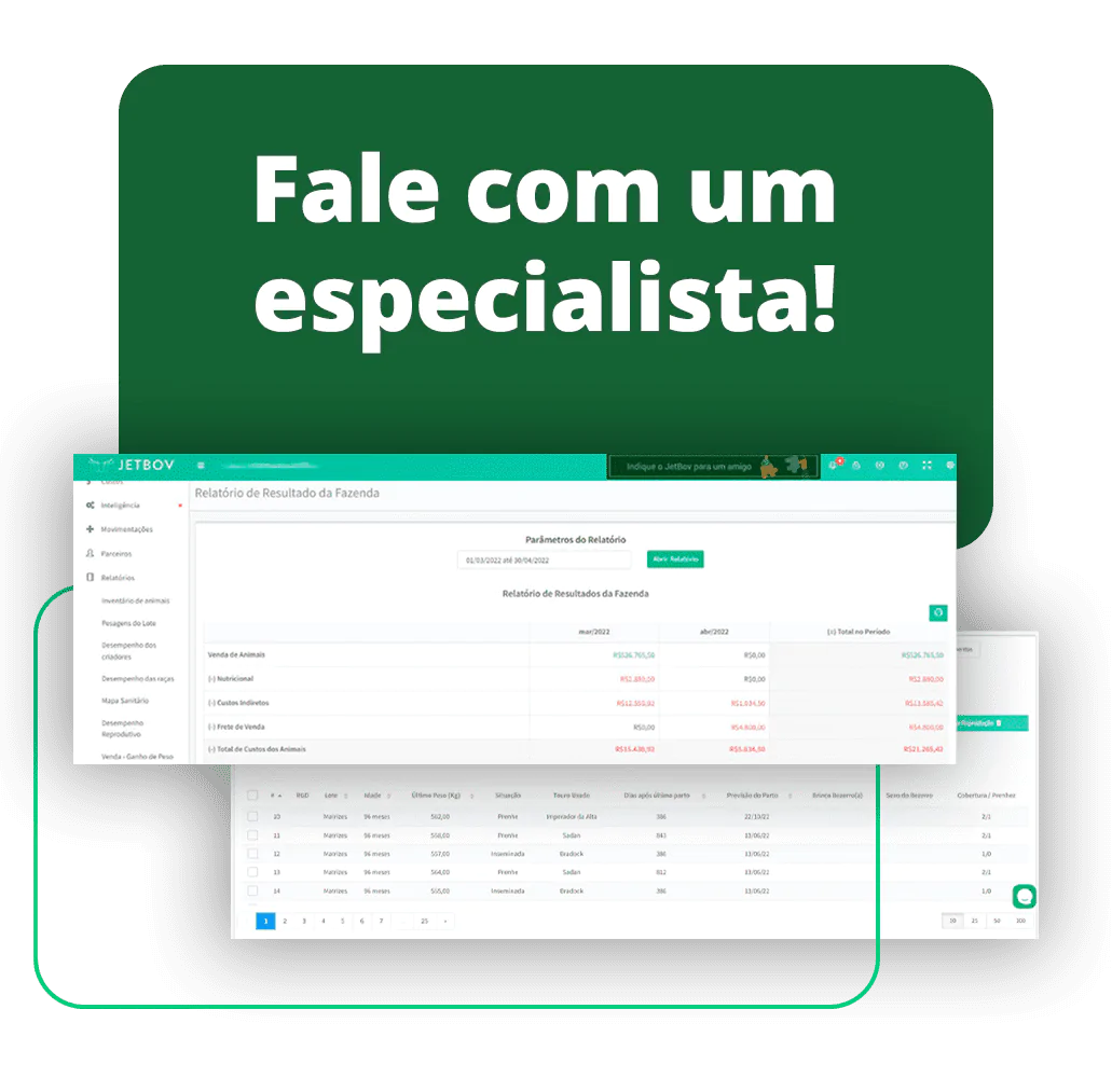 LP-Ebook-Trilha-Dados-Mobile-01