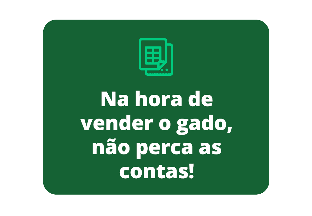 LP-Trilha-Dados-Mobile-07