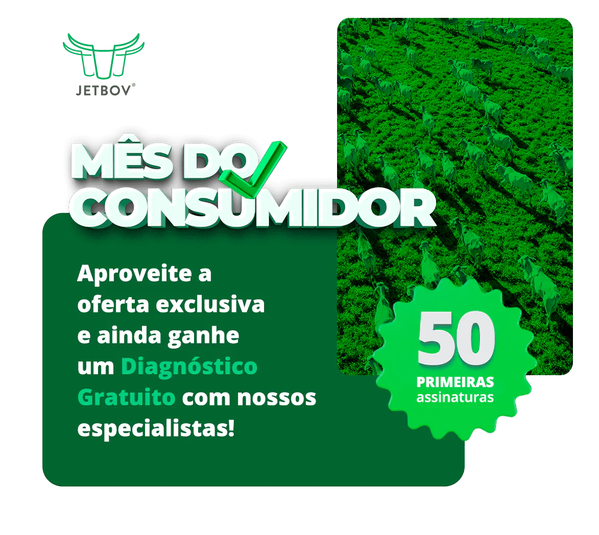LPConsumidor03_Desktop