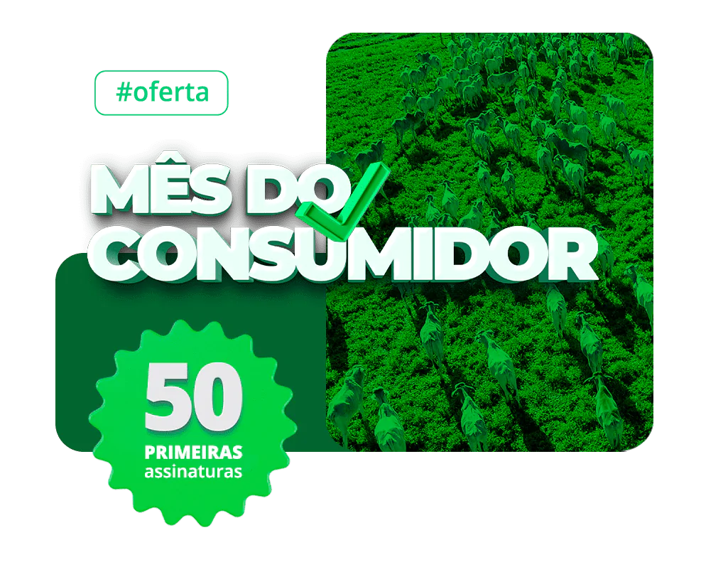 LPConsumidor03_Mobile