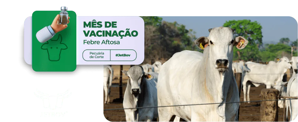 JetBov_LPMesVacinacao_Titulo01