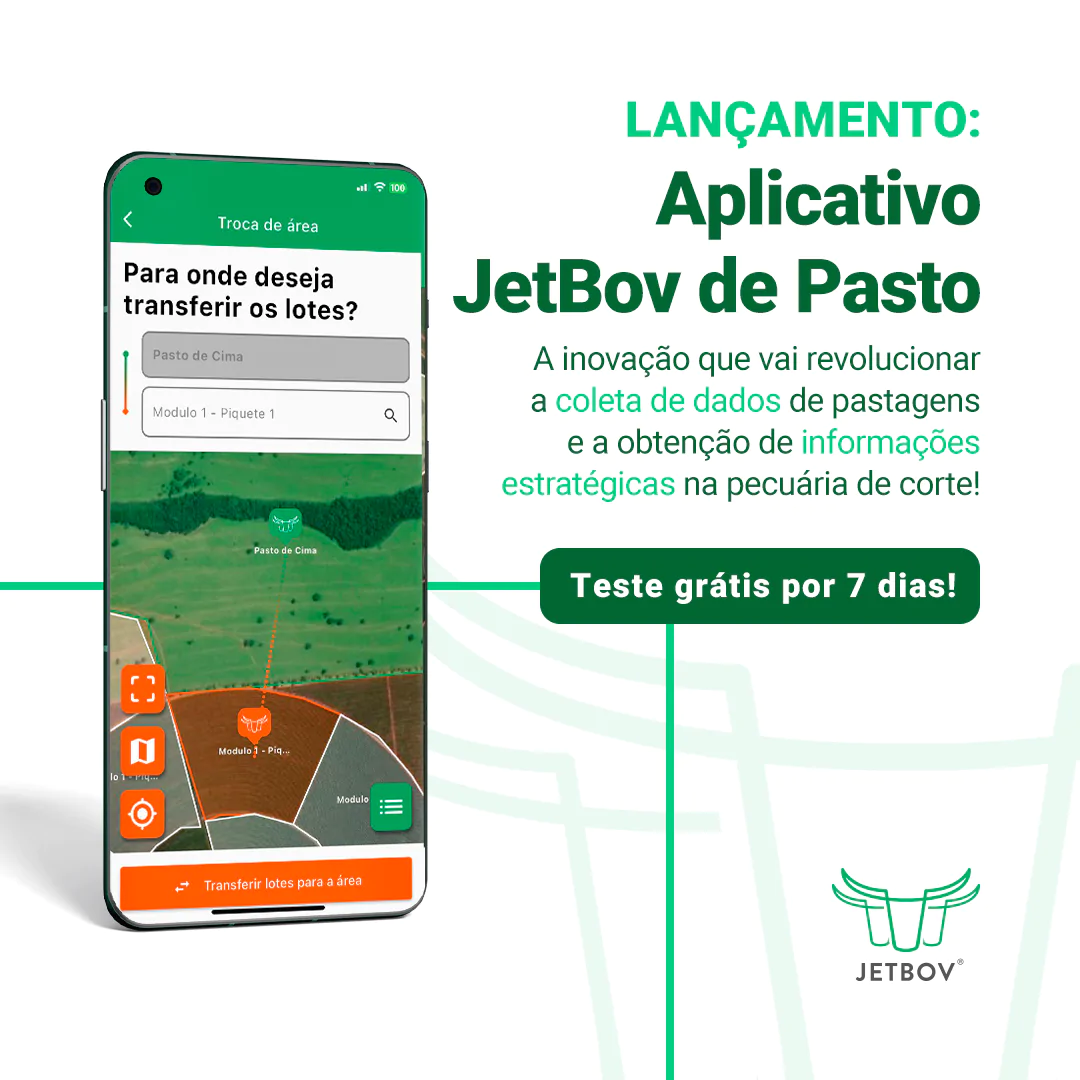 Campanha Novo App - Arte 2 - 1x1