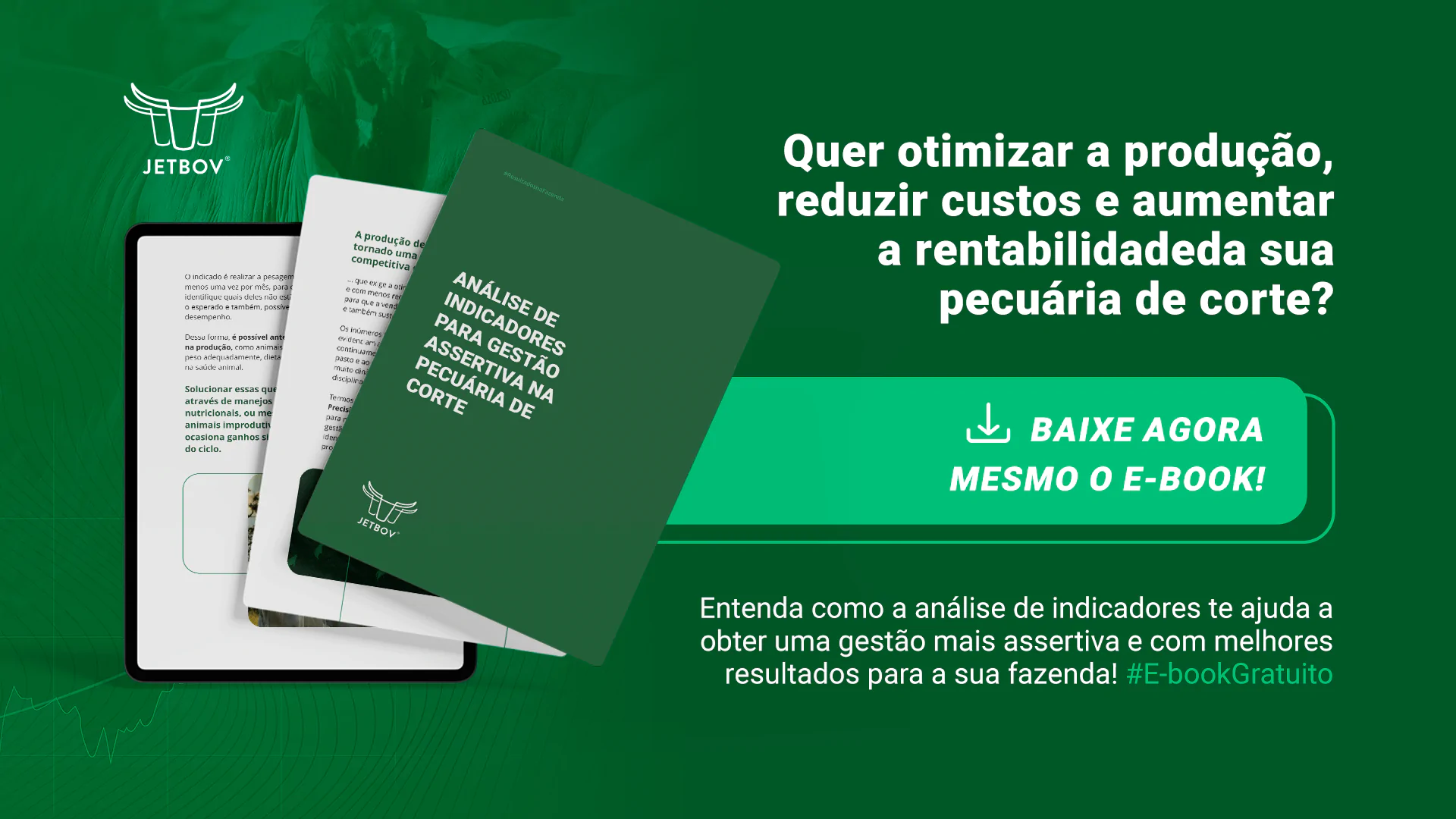 JETBOV - 01 2024 - Campanha Ebook - Anuncio 1 Horizontal