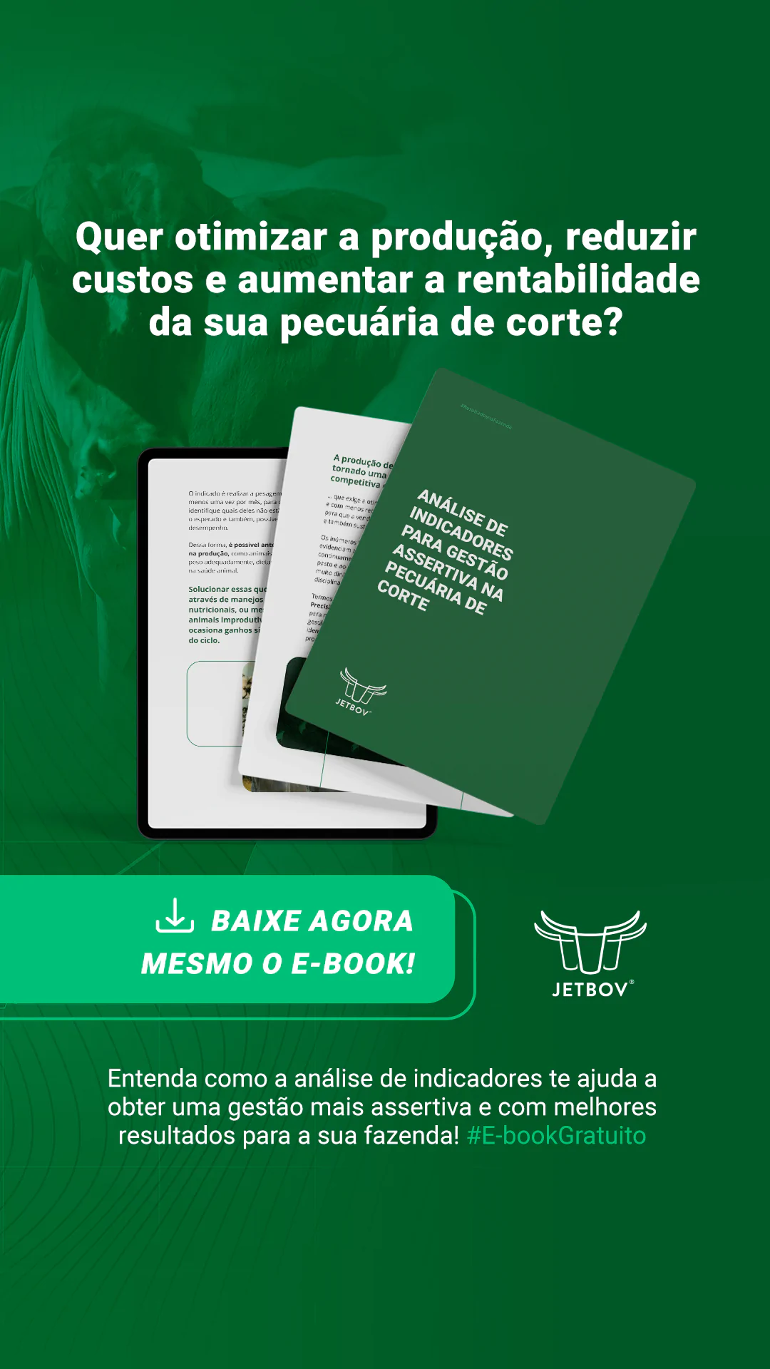 JETBOV - 01 2024 - Campanha Ebook - Anuncio 1 Vertical