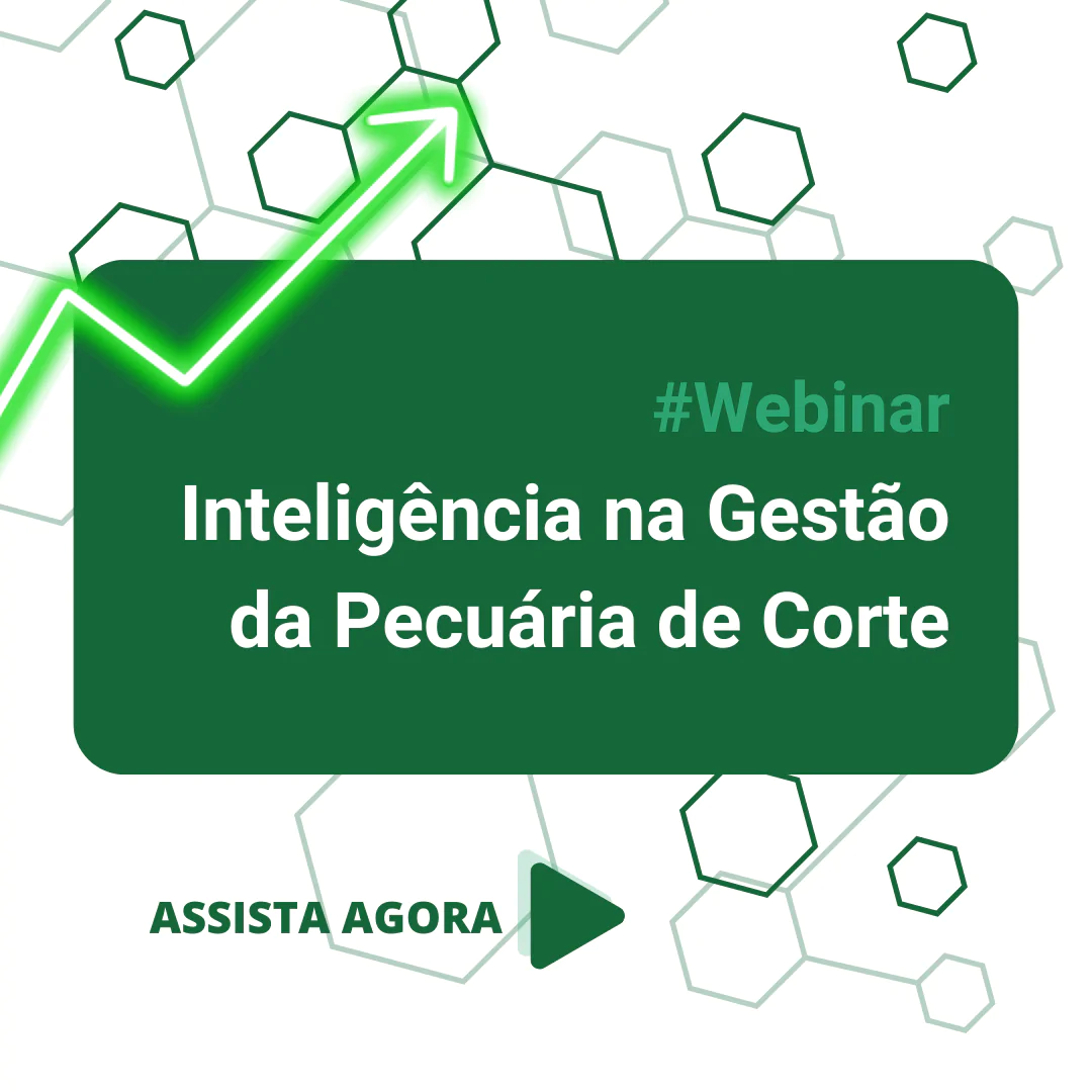 webinar inteligência na gestao da pecuária de corte